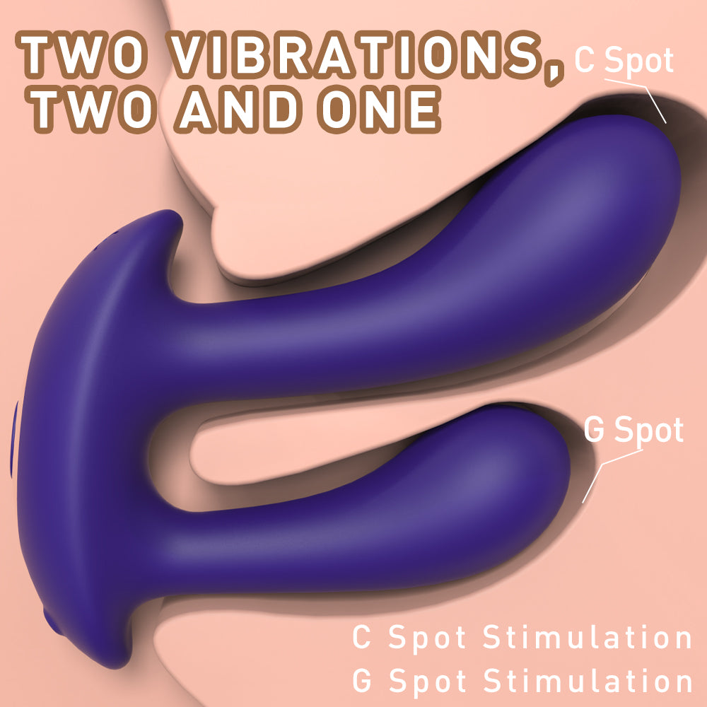Anal & G Spot Stimulator Remote Vibrator with Waterproof and Rechargeable Designs