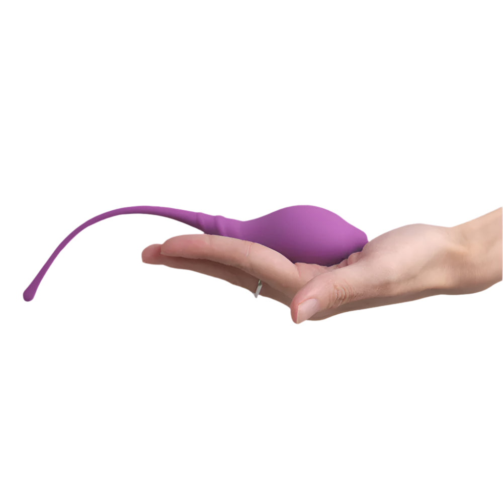Wildhunni Amazing Sex Stretchy Kegel Training Set (3 Count)