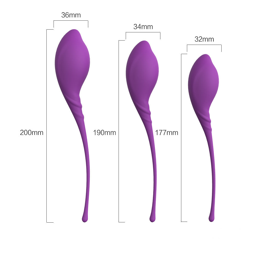 Wildhunni Amazing Sex Stretchy Kegel Training Set (3 Count)