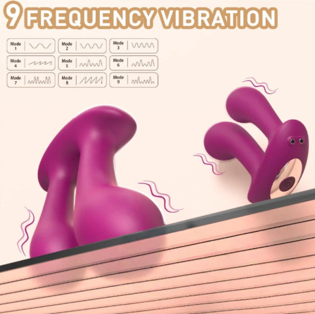 Anal & G Spot Stimulator Remote Vibrator with Waterproof and Rechargeable Designs