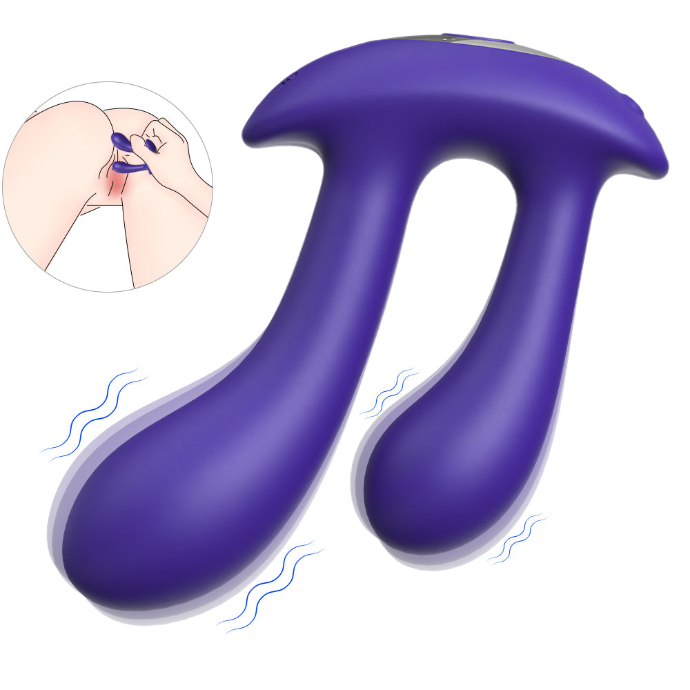 Anal & G Spot Stimulator Remote Vibrator with Waterproof and Rechargeable Designs