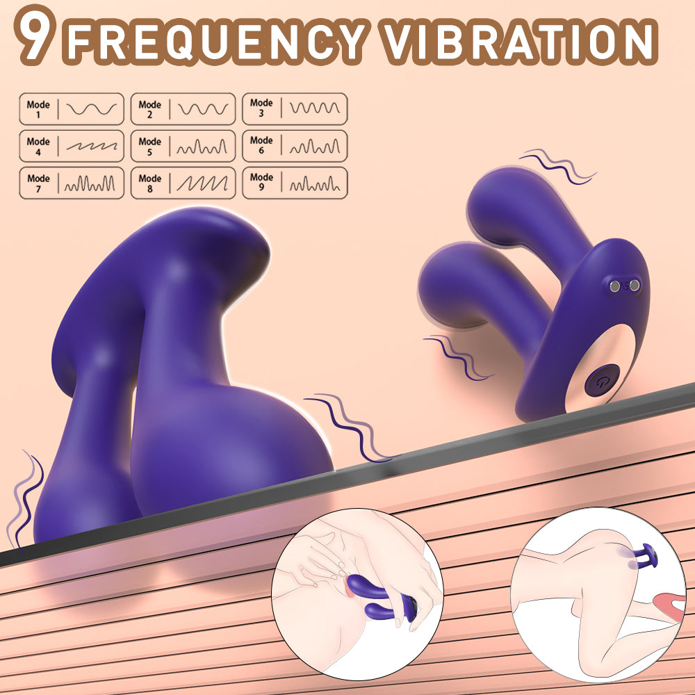 Anal & G Spot Stimulator Remote Vibrator with Waterproof and Rechargeable Designs