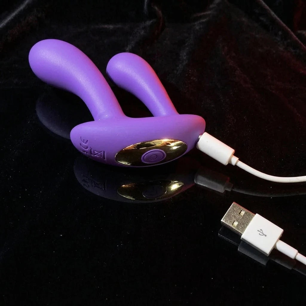 Anal & G Spot Stimulator Remote Vibrator with Waterproof and Rechargeable Designs