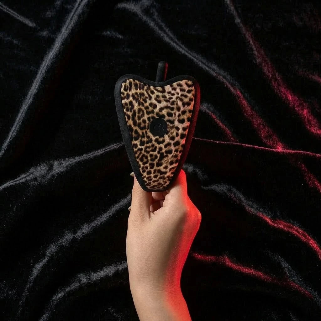 Vaginal & Butt Vibration Panty Vibrator with Waterproof and Rechargeable Designs